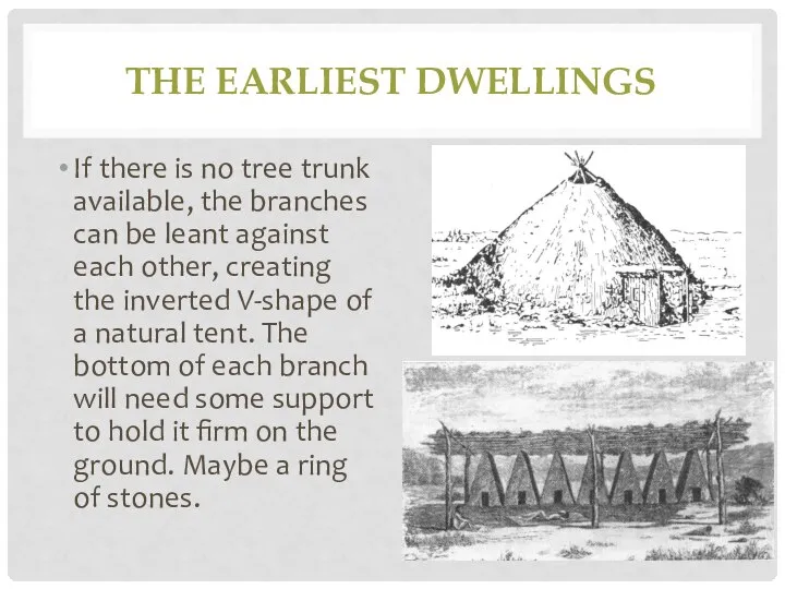 THE EARLIEST DWELLINGS If there is no tree trunk available, the