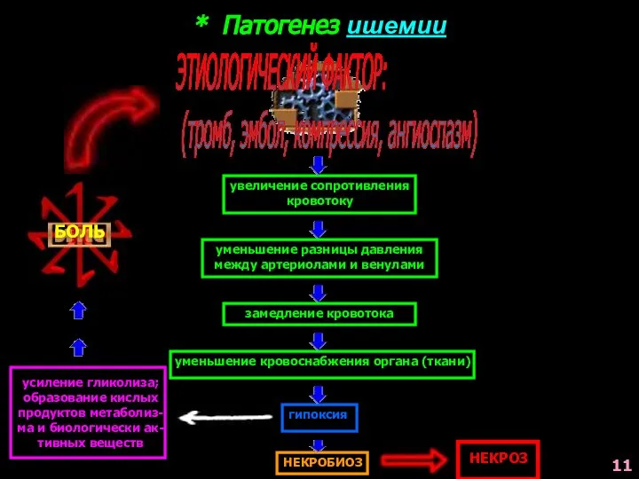 * Патогенез ишемии ЭТИОЛОГИЧЕСКИЙ ФАКТОР: (тромб, эмбол, компрессия, ангиоспазм) увеличение сопротивления