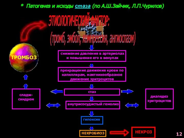 * Патогенез и исходы стаза (по А.Ш.Зайчик, Л.П.Чурилов) ЭТИОЛОГИЧЕСКИЙ ФАКТОР: (тромб,