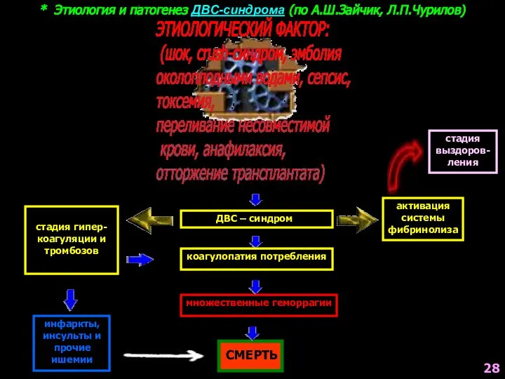 * Этиология и патогенез ДВС-синдрома (по А.Ш.Зайчик, Л.П.Чурилов) ЭТИОЛОГИЧЕСКИЙ ФАКТОР: (шок,