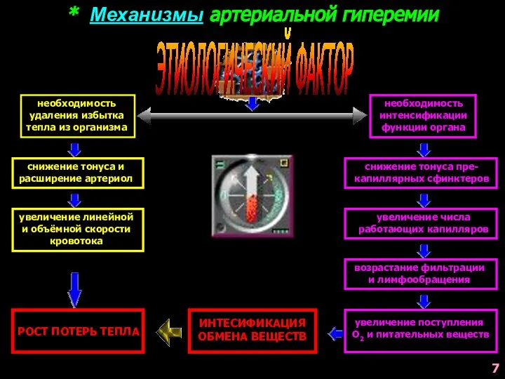 * Механизмы артериальной гиперемии ЭТИОЛОГИЧЕСКИЙ ФАКТОР необходимость удаления избытка тепла из