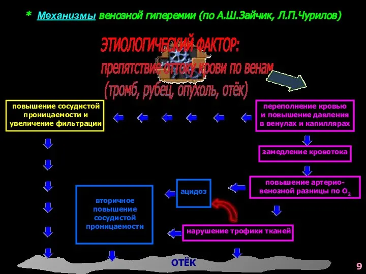 * Механизмы венозной гиперемии (по А.Ш.Зайчик, Л.П.Чурилов) ЭТИОЛОГИЧЕСКИЙ ФАКТОР: препятствие оттоку