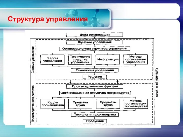 Структура управления