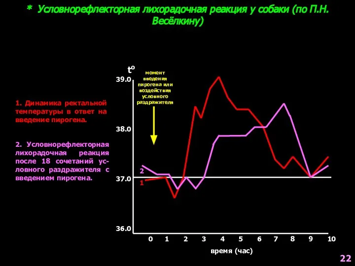 * Условнорефлекторная лихорадочная реакция у собаки (по П.Н.Весёлкину) 1. Динамика ректальной