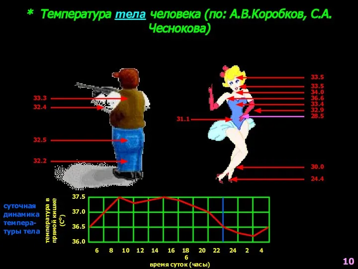 * Температура тела человека (по: А.В.Коробков, С.А.Чеснокова) 8 10 12 14