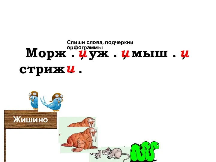 Жишино Морж . , уж . , мыш . , стриж