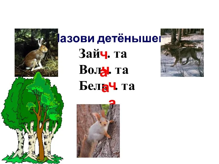 Назови детёнышей Зай . та Вол . та Бель . та ча ча ча Станция "Чащино"