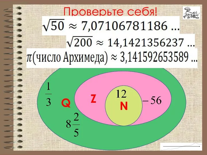 Q Z N Проверьте себя!