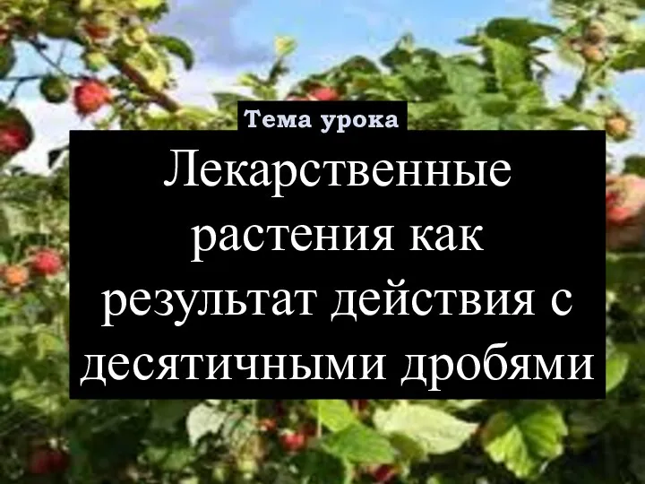 Лекарственные растения как результат действия с десятичными дробями Тема урока