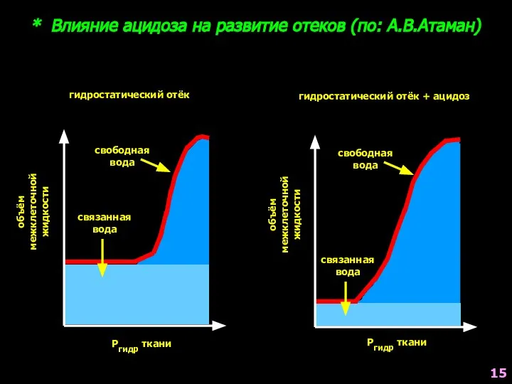 * Влияние ацидоза на развитие отеков (по: А.В.Атаман) гидростатический отёк объём