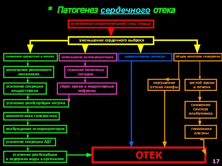 * Патогенез сердечного отека ослабление сократительной силы сердца уменьшение сердечного выброса