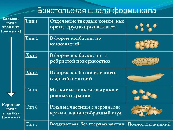 Большое время транзита (100 часов) Короткое время транзита (10 часов) Бристольская шкала формы кала