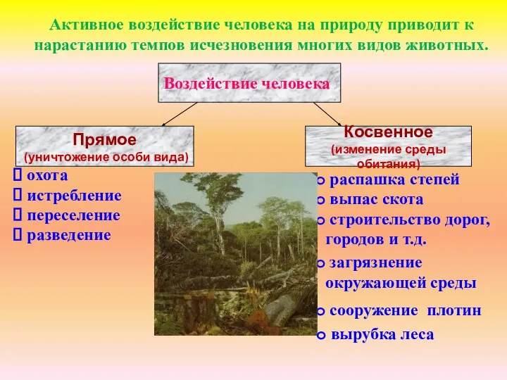 Активное воздействие человека на природу приводит к нарастанию темпов исчезновения многих