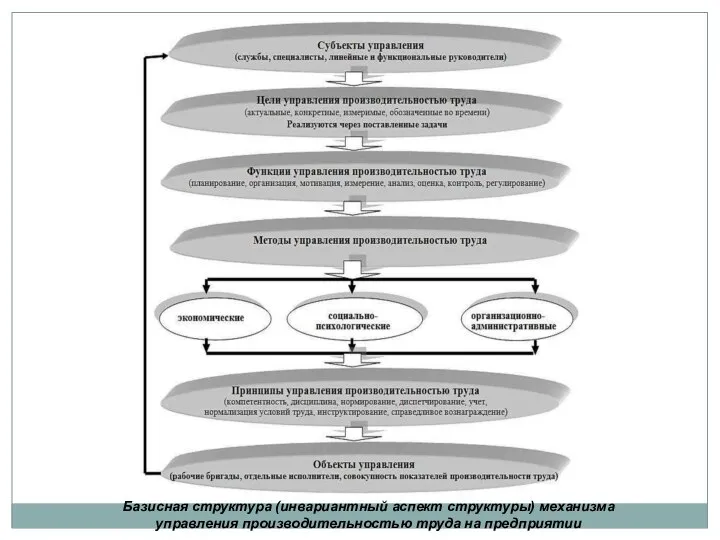 Базисная структура (инвариантный аспект структуры) механизма управления производительностью труда на предприятии