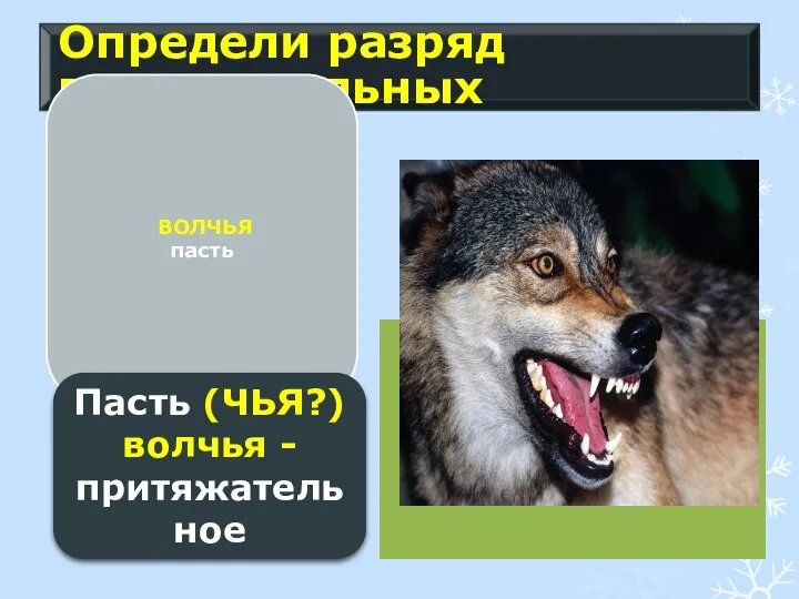 Определи разряд прилагательных ВОЛЧЬЯ пасть Пасть (ЧЬЯ?) волчья - притяжательное