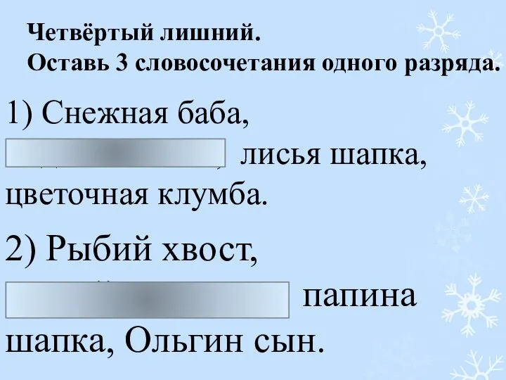 Четвёртый лишний. Оставь 3 словосочетания одного разряда. 1) Снежная баба, медвежья