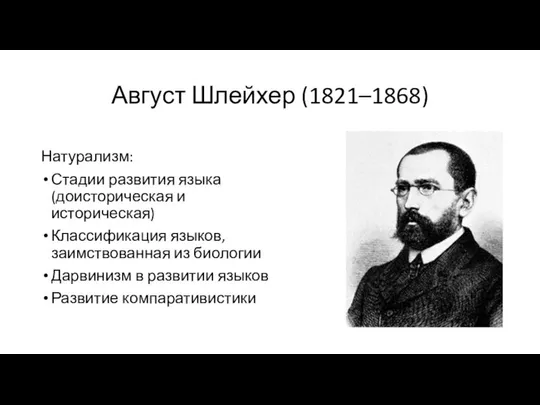 Август Шлейхер (1821–1868) Натурализм: Стадии развития языка (доисторическая и историческая) Классификация