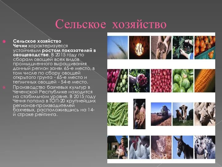 Сельское хозяйство Сельское хозяйство Чечни характеризуется устойчивым ростом показателей в овощеводстве.