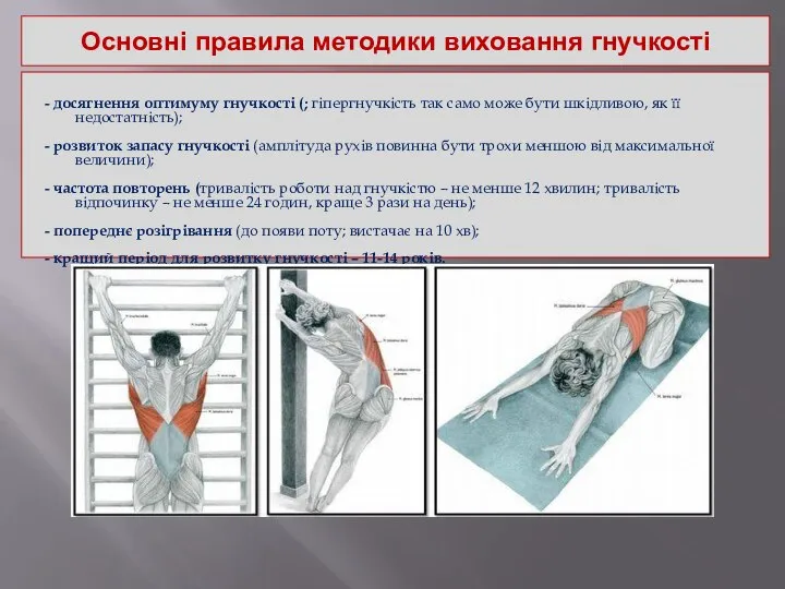 Основні правила методики виховання гнучкості - досягнення оптимуму гнучкості (; гіпергнучкість