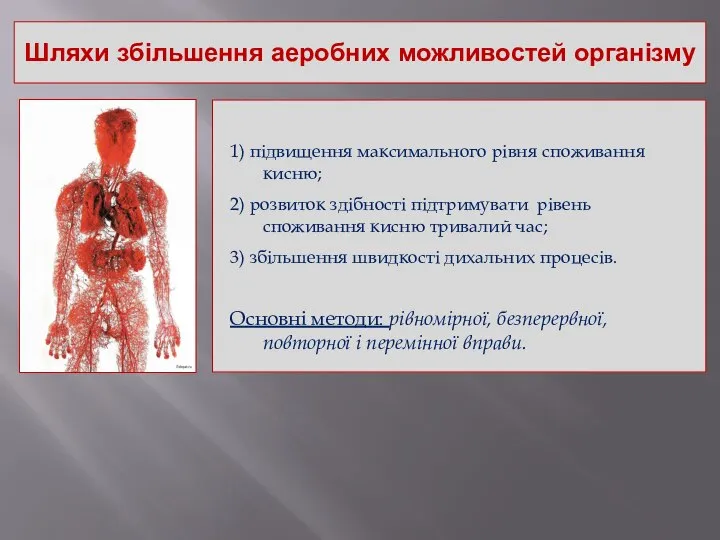 Шляхи збільшення аеробних можливостей організму 1) підвищення максимального рівня споживання кисню;