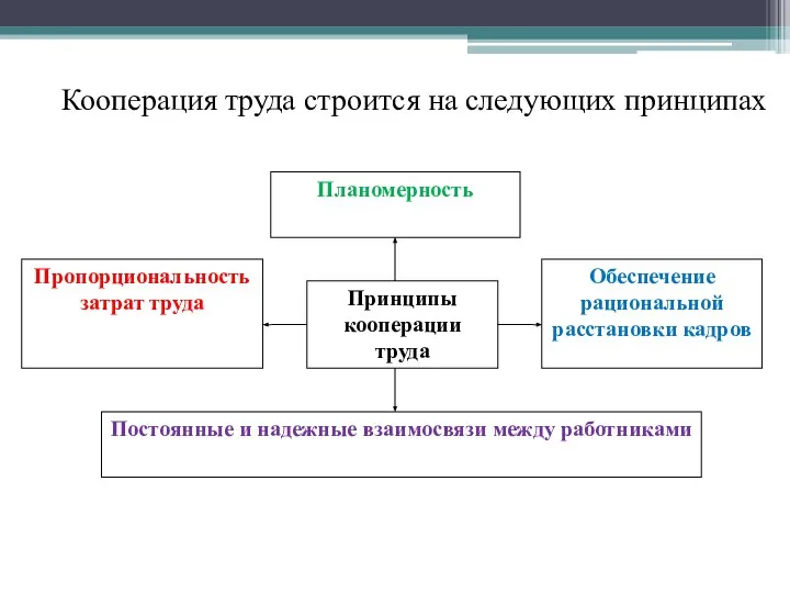 Кооперация труда строится на следующих принципах