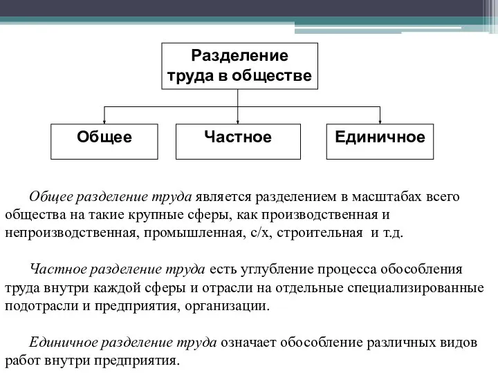 Общее разделение труда является разделением в масштабах всего общества на такие