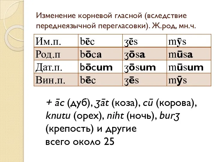 Изменение корневой гласной (вследствие переднеязычной перегласовки). Ж.род, мн.ч. + āc (дуб),