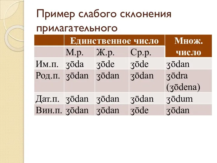 Пример слабого склонения прилагательного