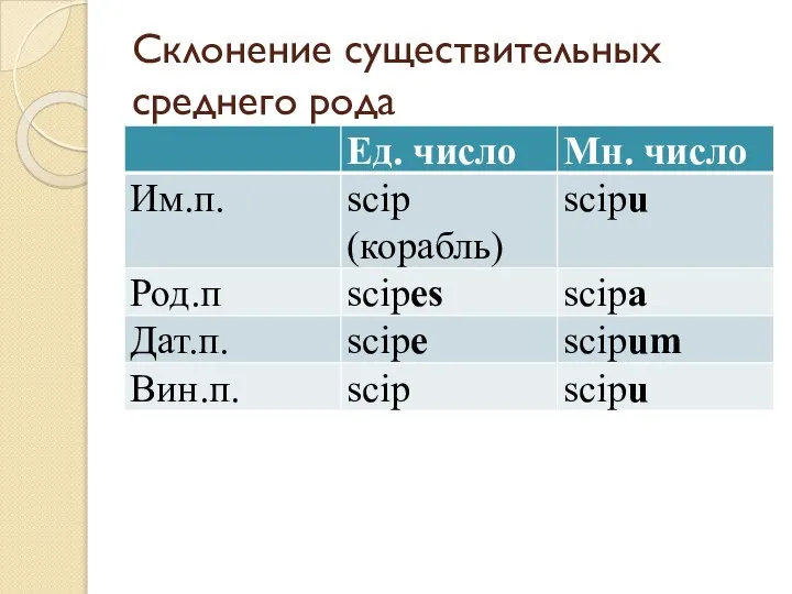 Склонение существительных среднего рода