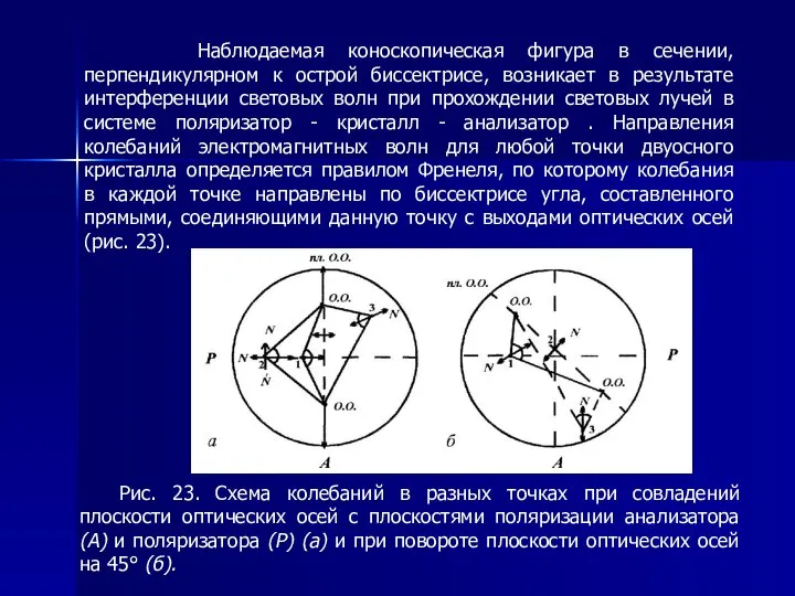 Наблюдаемая коноскопическая фигура в сечении, перпендикулярном к острой биссектрисе, возникает в