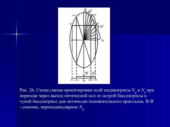 Рис. 26. Схема смены ориентировки осей индикатрисы Ng и Np при