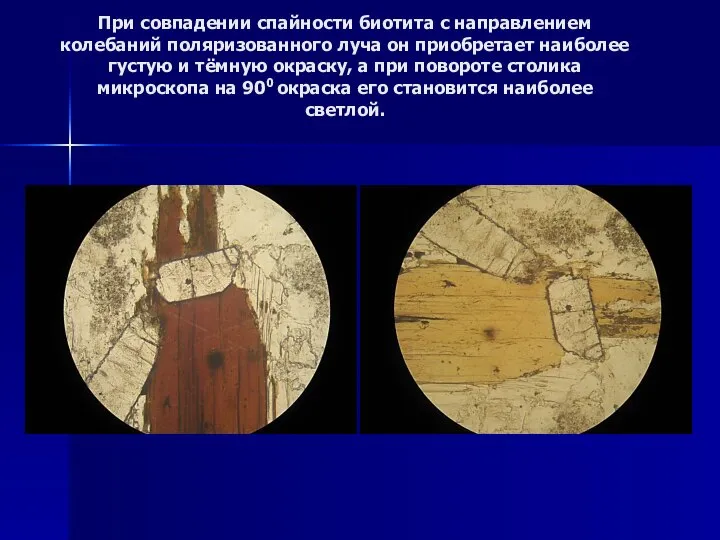 При совпадении спайности биотита с направлением колебаний поляризованного луча он приобретает
