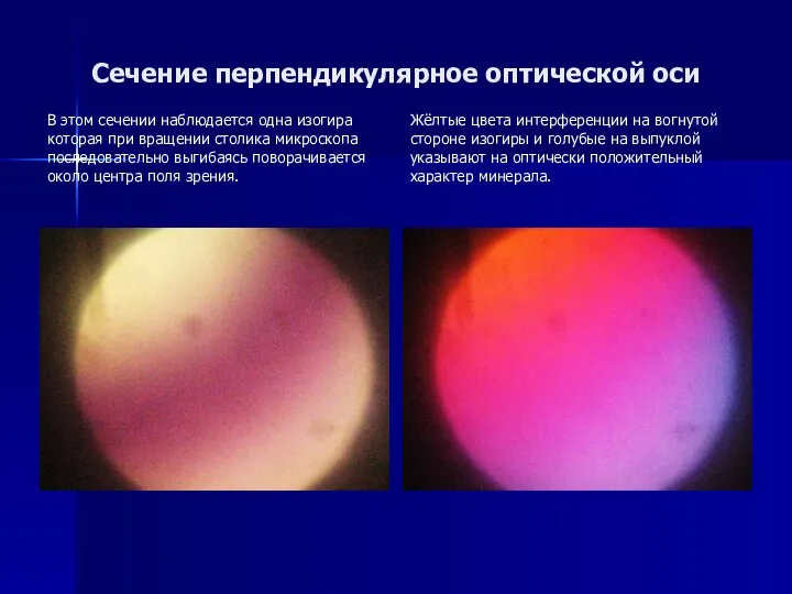 Сечение перпендикулярное оптической оси В этом сечении наблюдается одна изогира которая