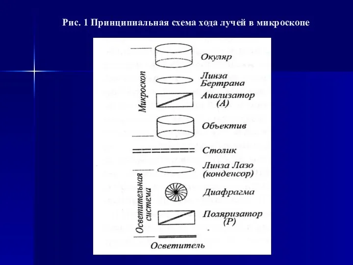 Рис. 1 Принципиальная схема хода лучей в микроскопе