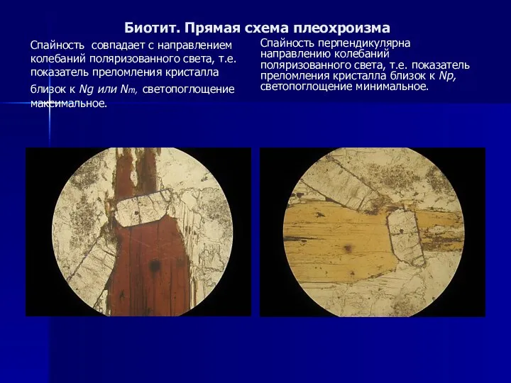 Биотит. Прямая схема плеохроизма Спайность совпадает с направлением колебаний поляризованного света,