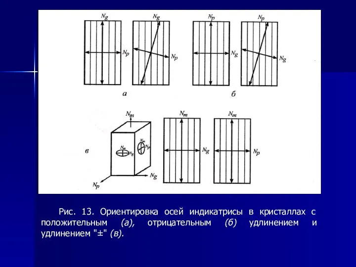 Рис. 13. Ориентировка осей индикатрисы в кристаллах с положительным (а), отрицательным