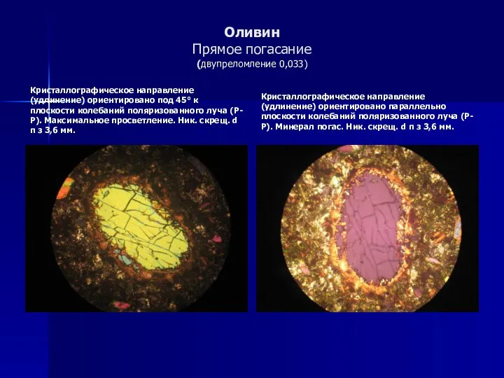 Оливин Прямое погасание (двупреломление 0,033) Кристаллографическое направление (удлинение) ориентировано под 45°