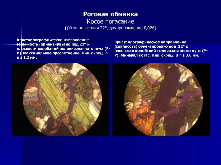 Роговая обманка Косое погасание ((Угол погасания 22°, двупреломление 0,026) Кристаллографическое направление