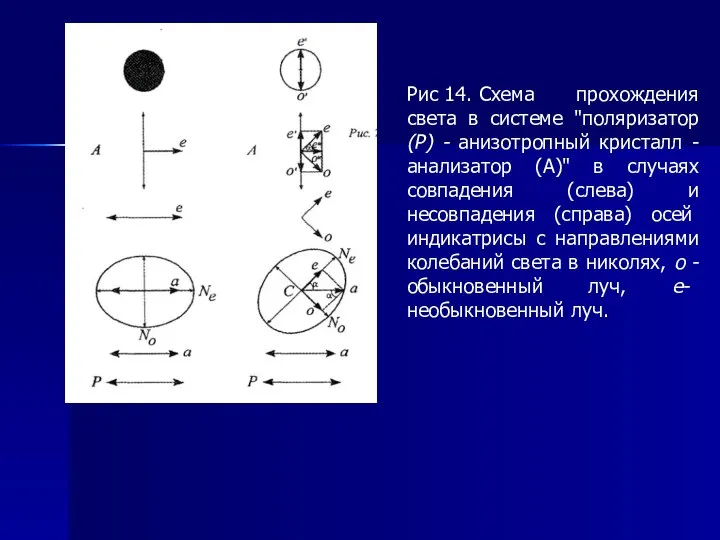 Рис 14. Схема прохождения света в системе "поляризатор (Р) - анизотропный