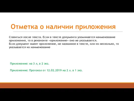 Приложение: на 3 л, в 2 экз. Приложение: Протокол от 12.02.2019