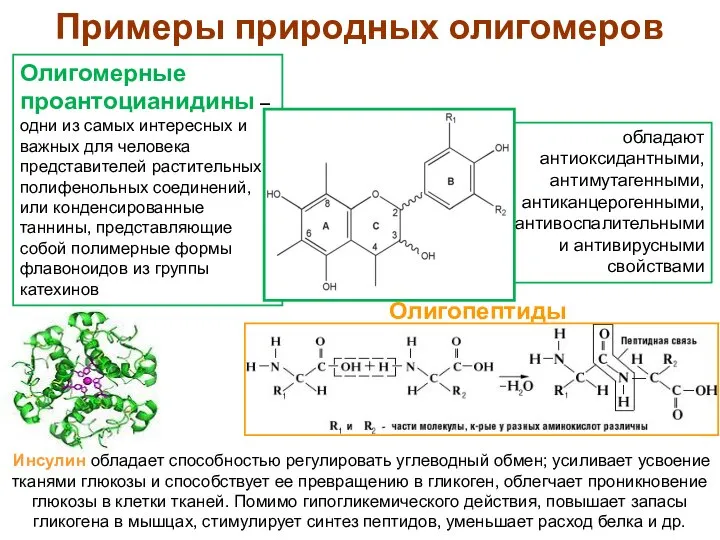 Примеры природных олигомеров