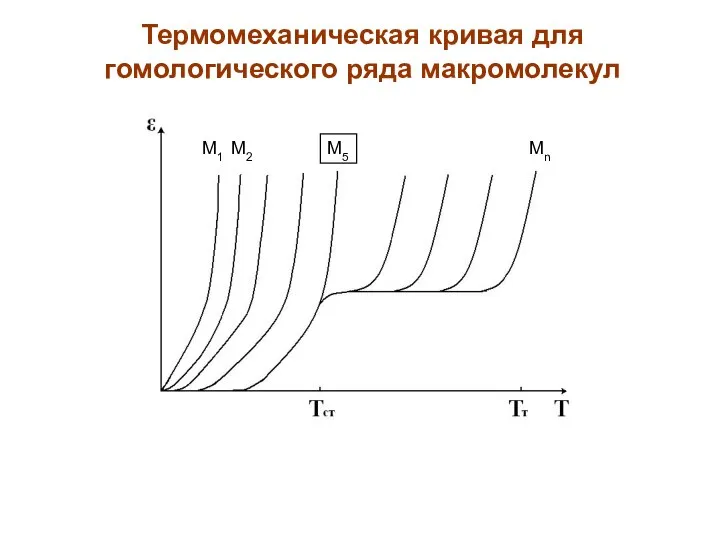 Термомеханическая кривая для гомологического ряда макромолекул