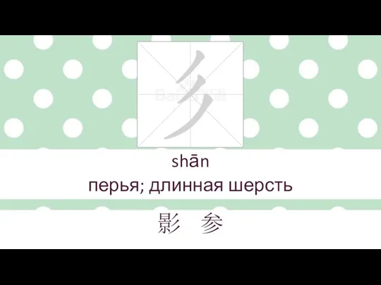 shān перья; длинная шерсть 影 参