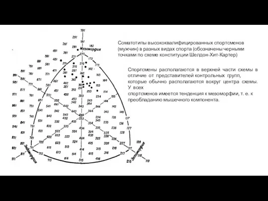 Соматотипы высококвалифицированных спортсменов (мужчин) в разных видах спорта (обозначены черными точками