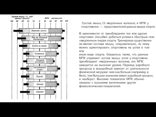 Состав мышц (% медленных волокон) и МПК у спортсменов — представителей