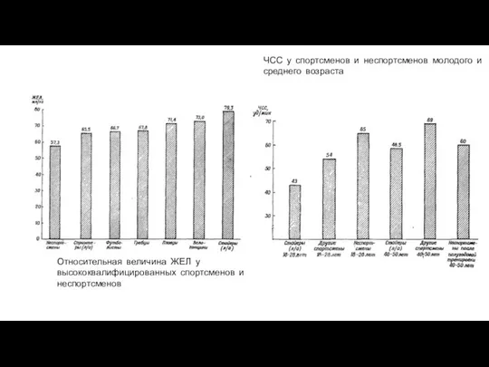 ЧСС у спортсменов и неспортсменов молодого и среднего возраста Относительная величина