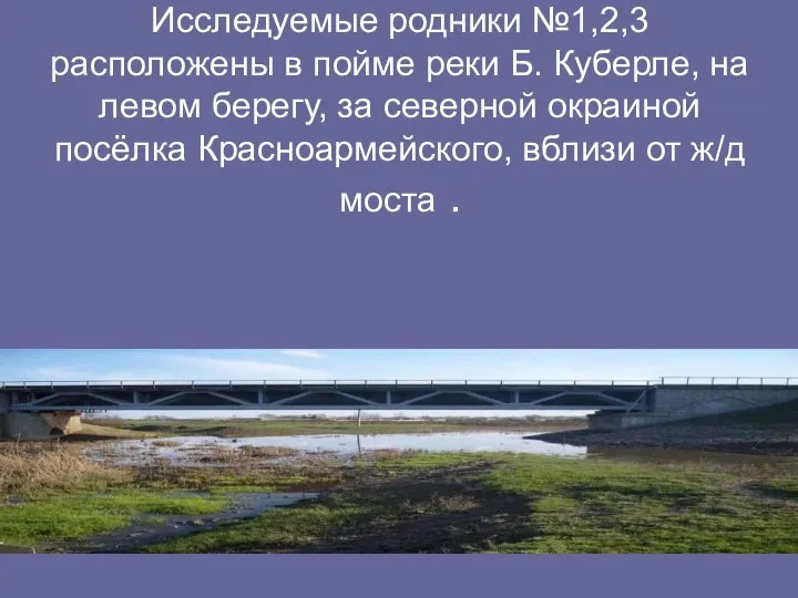 Исследуемые родники №1,2,3 расположены в пойме реки Б. Куберле, на левом