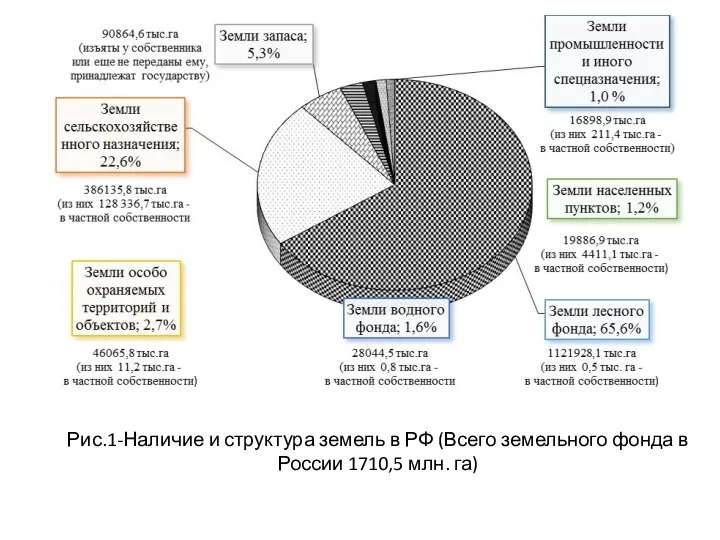 Рис.1-Наличие и структура земель в РФ (Всего земельного фонда в России 1710,5 млн. га)