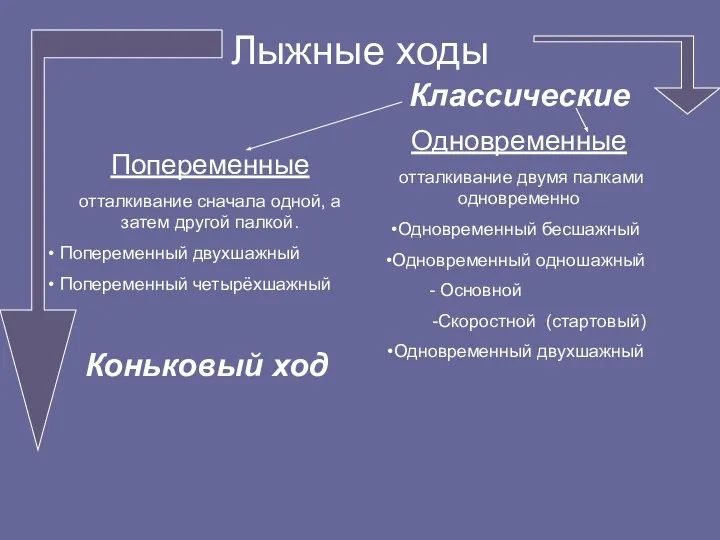 Лыжные ходы Попеременные отталкивание сначала одной, а затем другой палкой. Попеременный