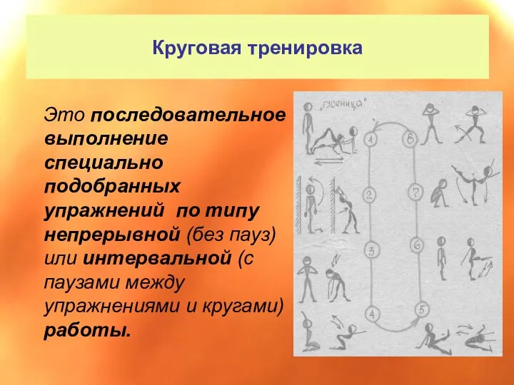 Круговая тренировка Это последовательное выполнение специально подобранных упражнений по типу непрерывной